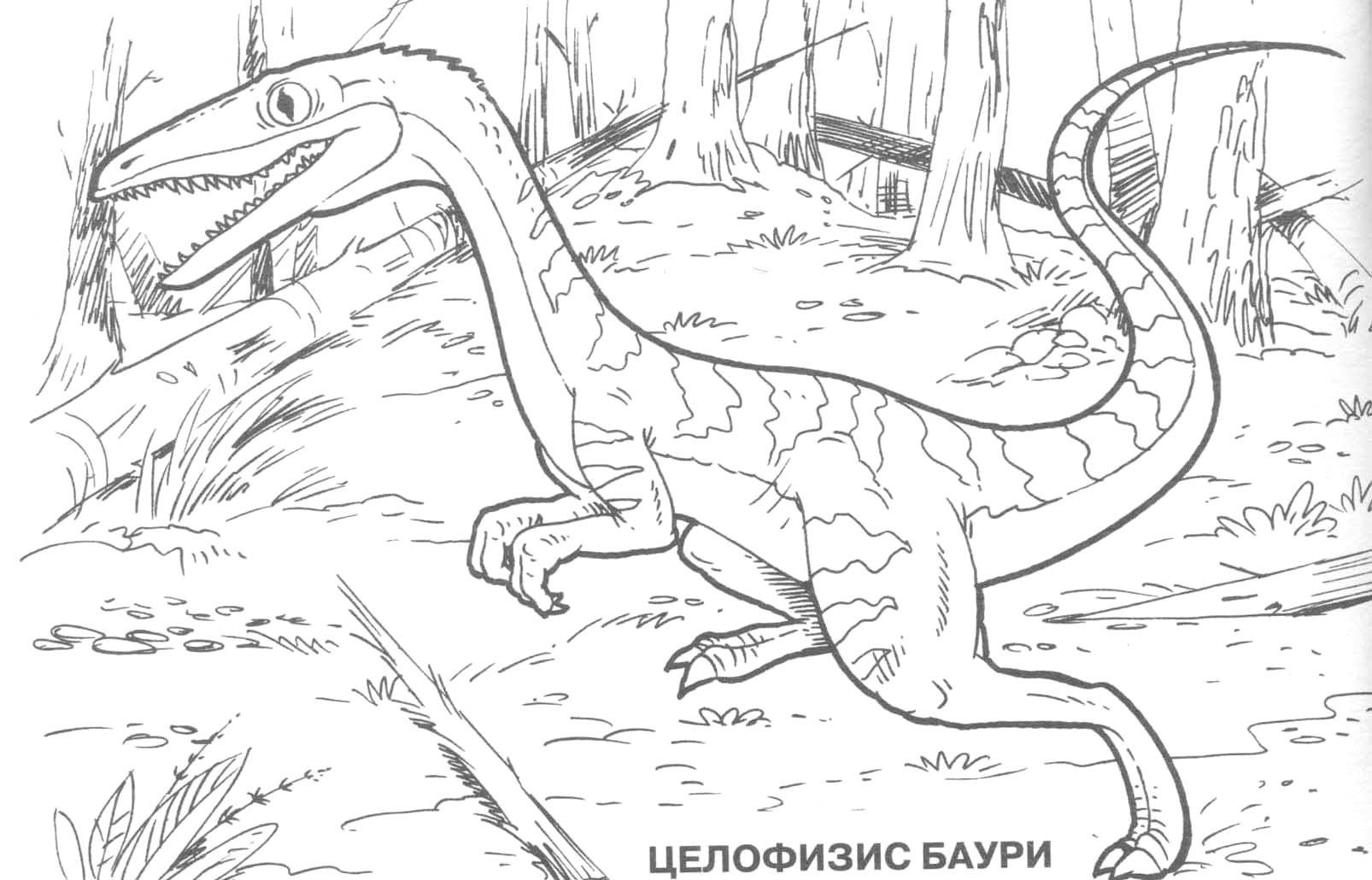 Dinosaur Coloring Pages For Adults
 Dinosaur Coloring Pages 2018 Dr Odd