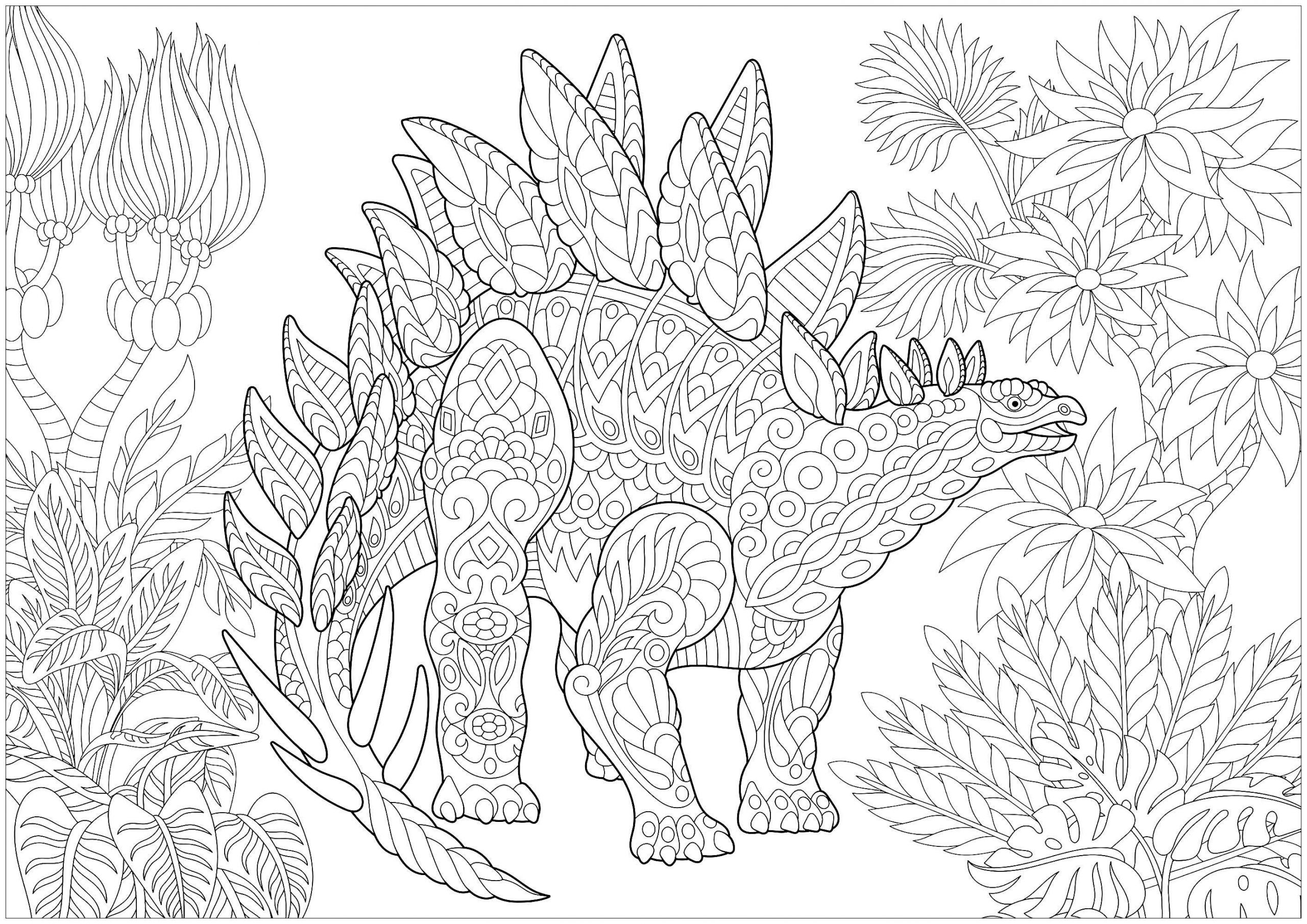Dinosaur Coloring Pages For Adults
 Stegosaurus Dinosaurs Coloring Pages for Adults Just