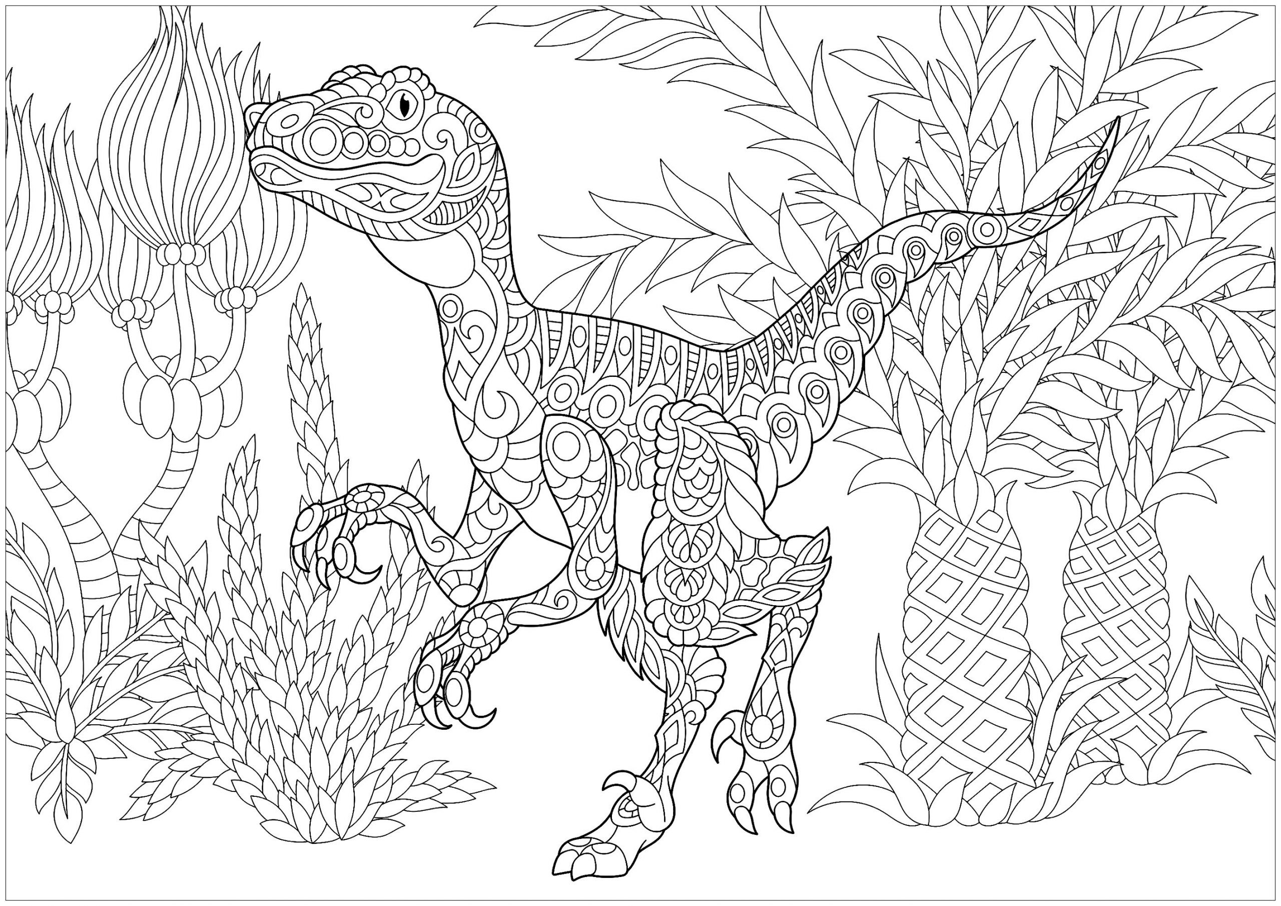 Dinosaur Coloring Pages For Adults
 Velociraptor Dinosaurs Adult Coloring Pages
