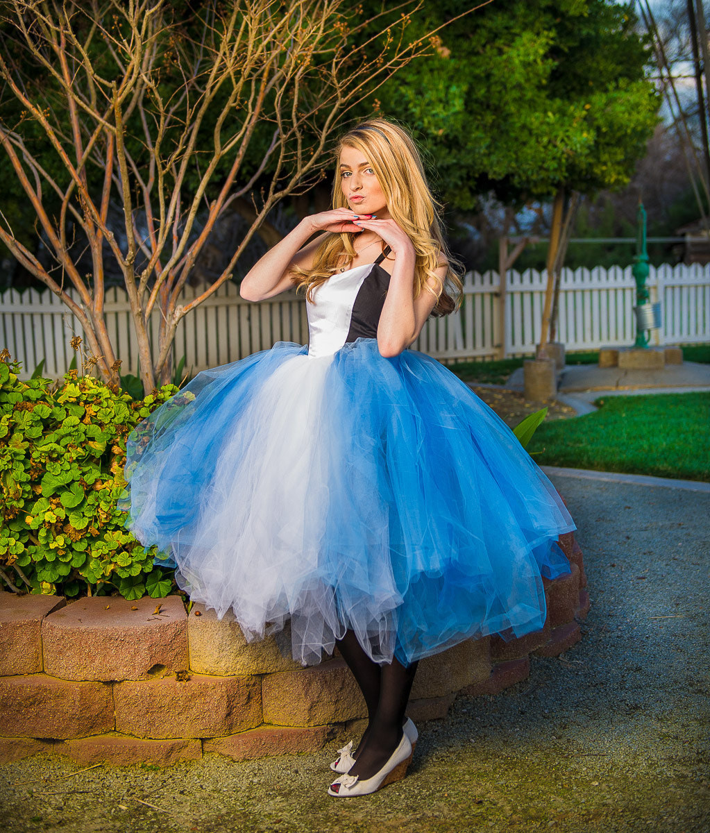 DIY Alice In Wonderland Costume Adults
 Alice in wonderland adult tutu dress adult tutu dress by