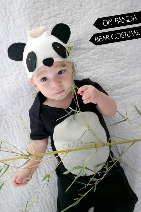 DIY Animal Costumes For Kids
 Cute and Cuddly 12 DIY Animal Costumes for Kids