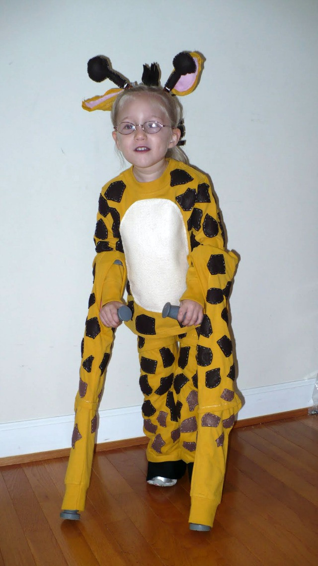 DIY Animal Costumes For Kids
 37 Homemade Animal Costumes C R A F T