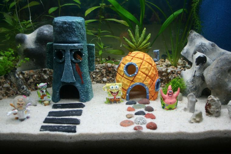 DIY Aquarium Decoration Ideas
 Aquarium Decorations Diy 21 meowlogy