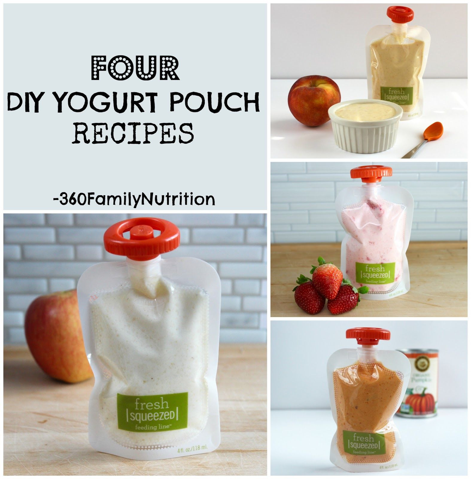 DIY Baby Food Pouches
 360FamilyNutrition DIY Yogurt Pouch Recipes