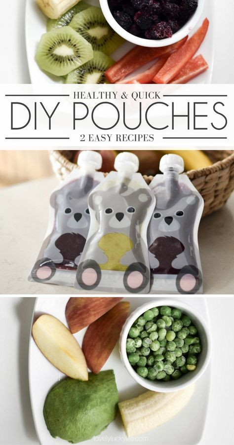 DIY Baby Food Pouches
 DIY Baby Food Pouches For The Go Moms