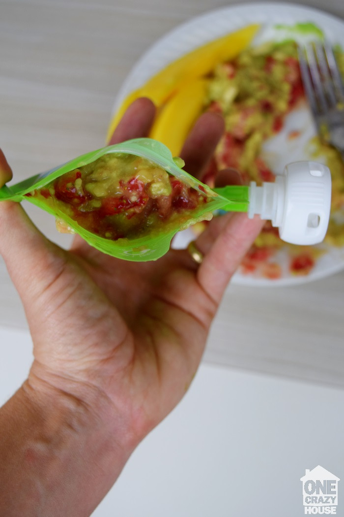 DIY Baby Food Pouches
 Baby Foods You can Mash with a Fork