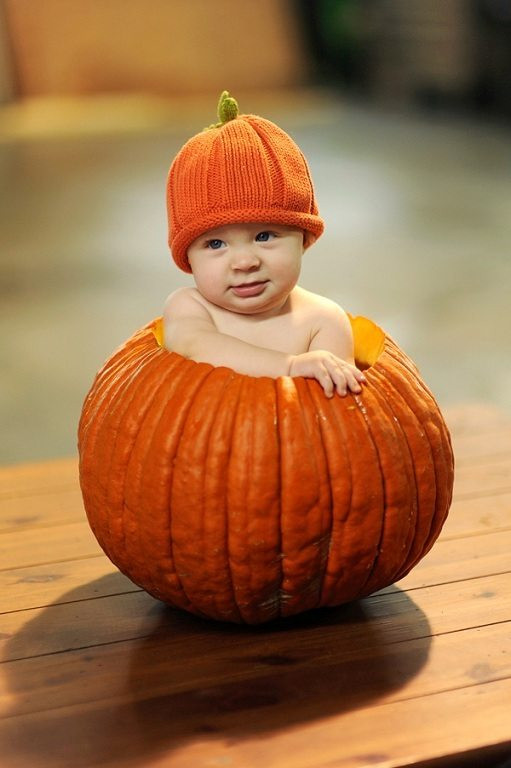 DIY Baby Pumpkin Costume
 20 DIY Halloween Baby Costumes The Chic Site