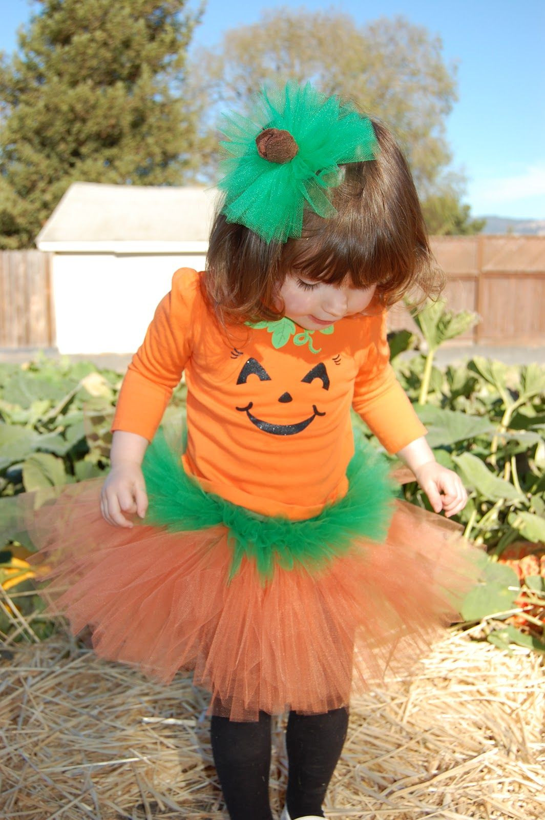 DIY Baby Pumpkin Costume
 The 25 best Toddler pumpkin costume ideas on Pinterest