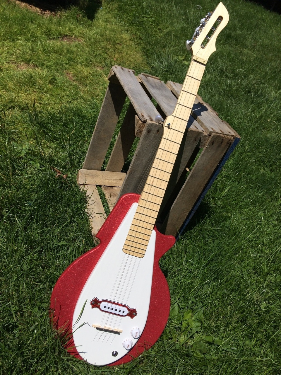 DIY Banjo Kit
 Build Your Own 5 String Electric Banjo Kit C B Gitty