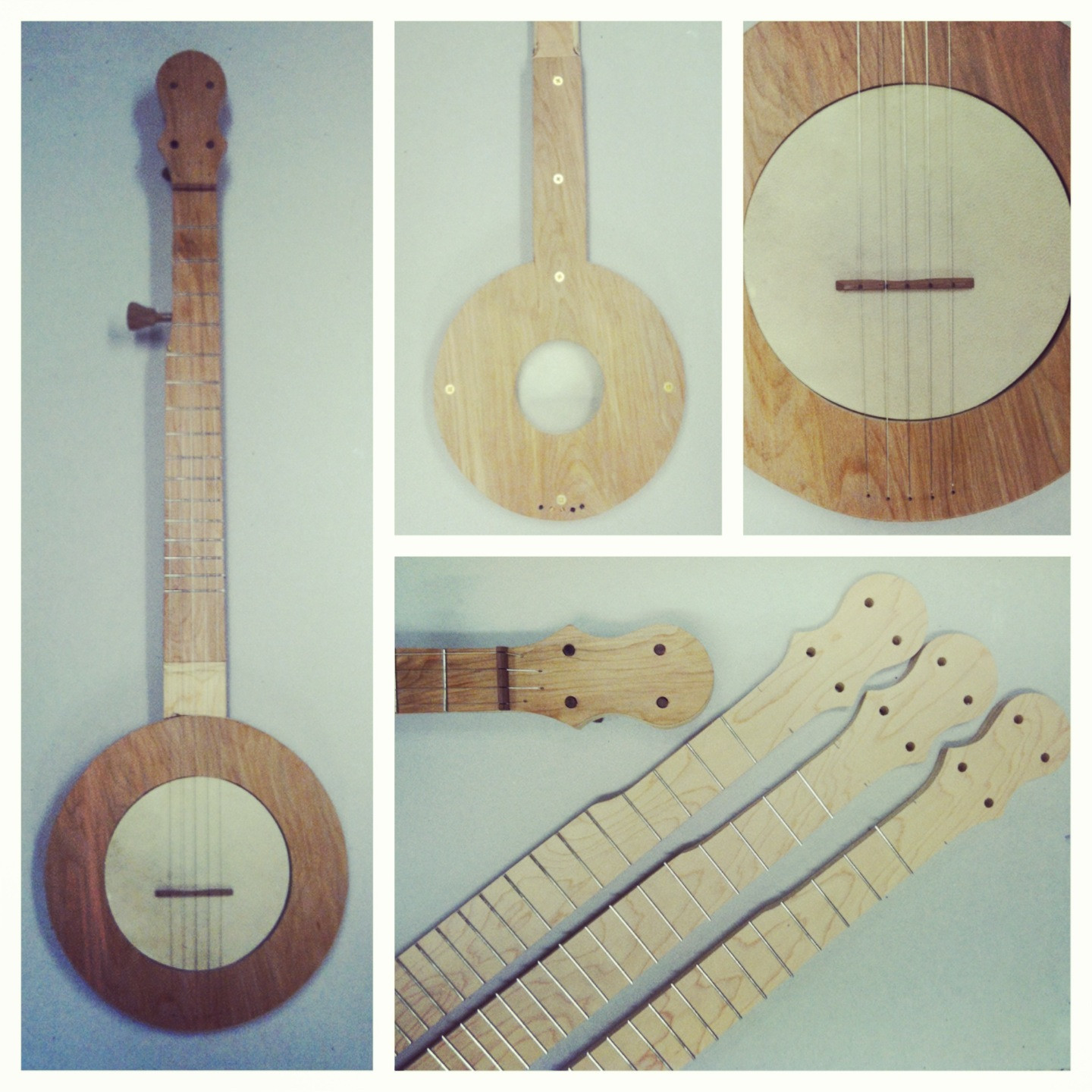 DIY Banjo Kit
 carverbanjos