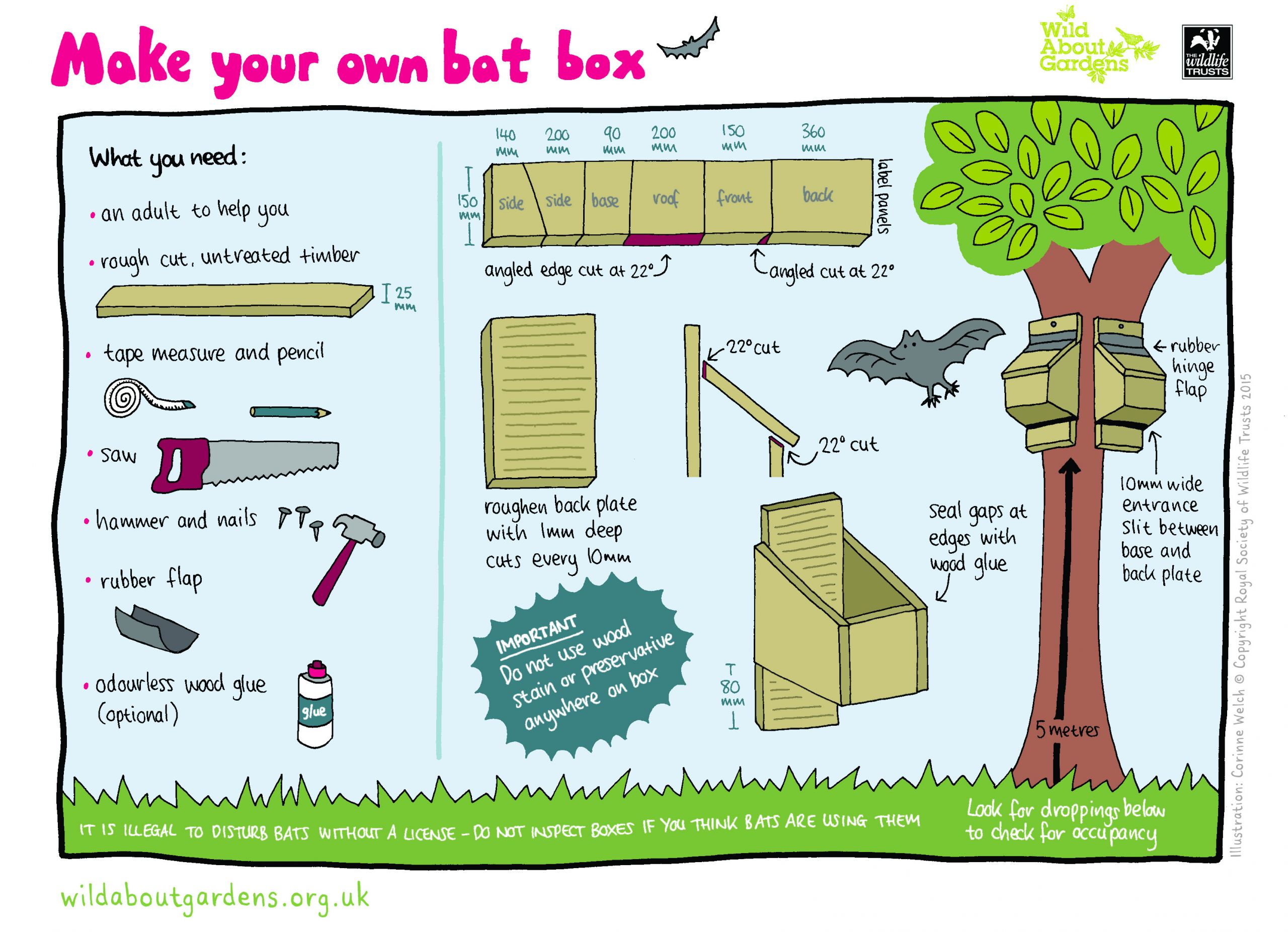 DIY Bat Boxes
 How to build a bat box