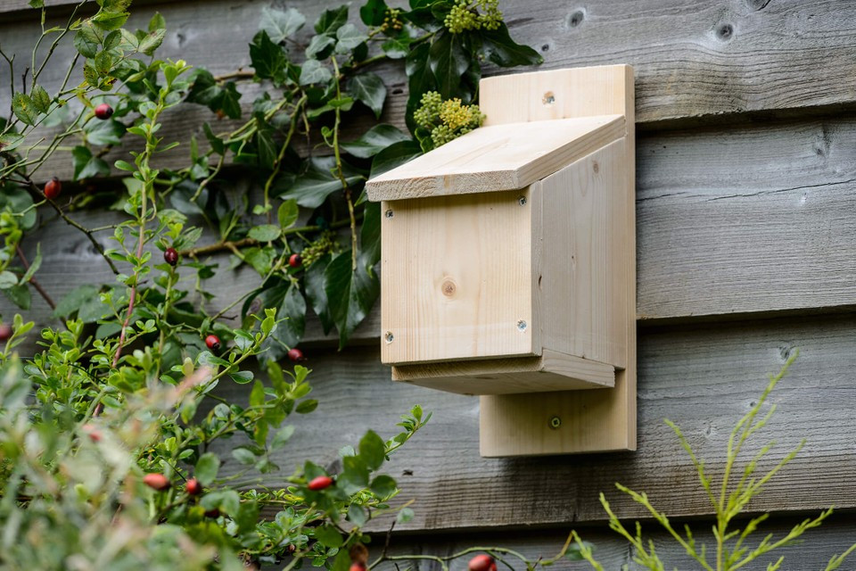 DIY Bat Boxes
 Make a Bat Box Step by Step gardenersworld