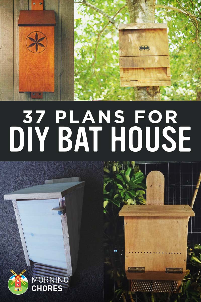 DIY Bat Boxes
 37 Free DIY Bat House Plans that Will Attract the Natural