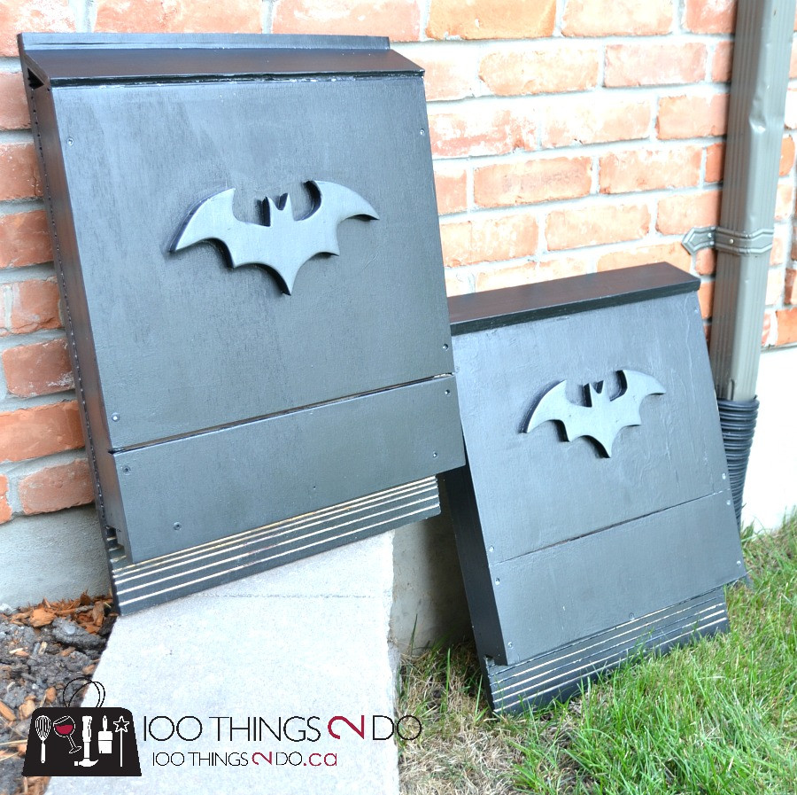 DIY Bat Boxes
 DIY bat box