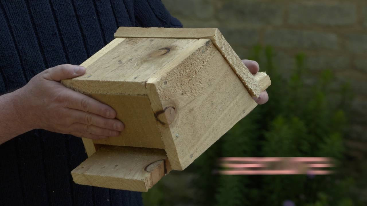 DIY Bat Boxes
 Build a bat box & help give nature a home