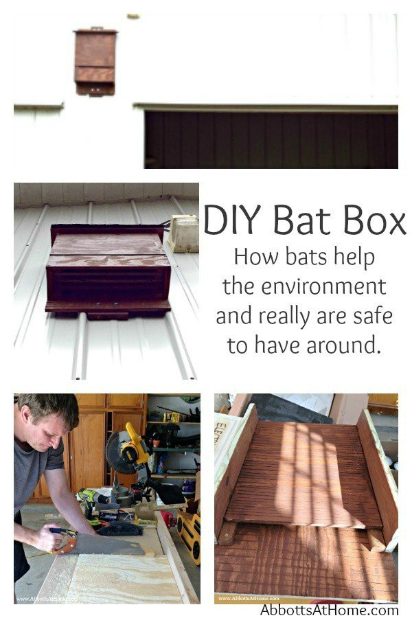 DIY Bat Boxes
 DIY Bat Box and why you should hug a bat today Abbotts