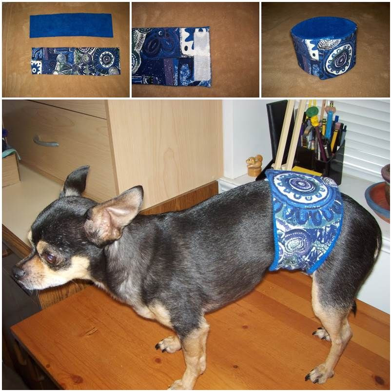 DIY Belly Bands For Dogs
 DIY Dog Belly Band for dogs that have a "leaking" problem
