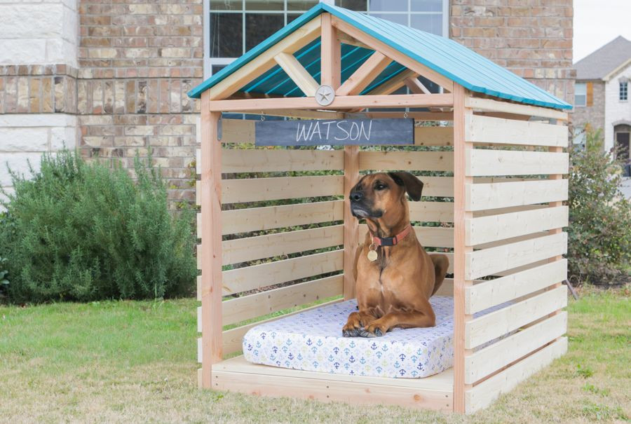DIY Big Dog House
 DIY Dog House Plans And Ideas Your Best Friend Will