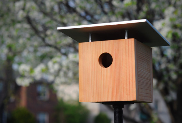 DIY Bird House Plans
 DIY birdhouse projects you need have in your backyard