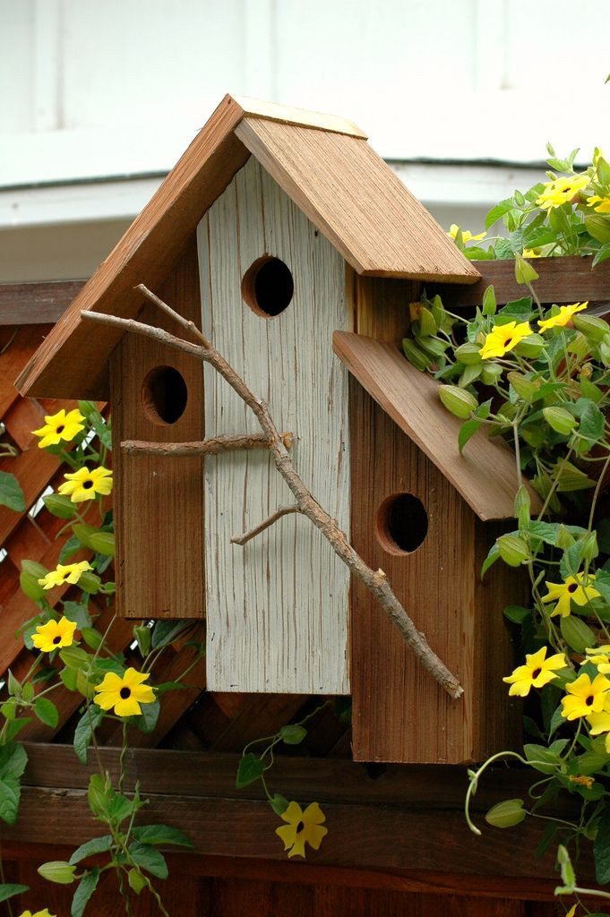 DIY Bird House Plans
 22 Gorgeous And Unique Birdhouse Designs