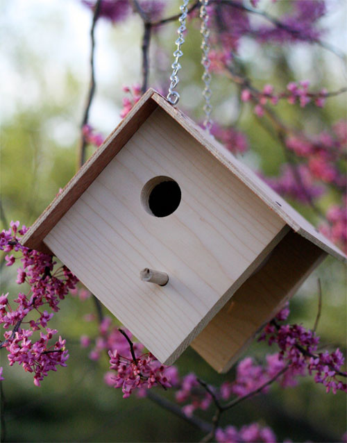 DIY Birdhouses For Kids
 DIY Birdhouses A Home For Nerdy Birds