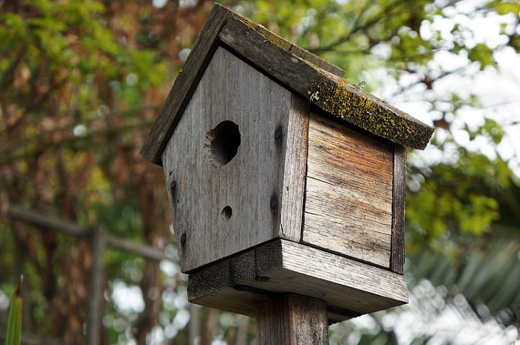 DIY Birdhouses For Kids
 10 Creative but Simple DIY Birdhouses to Make with Your Kids