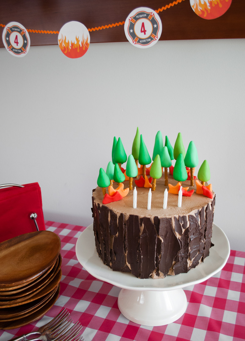 Diy Birthday Cakes
 Easy DIY Planes Fire & Rescue Birthday Cake with Forest