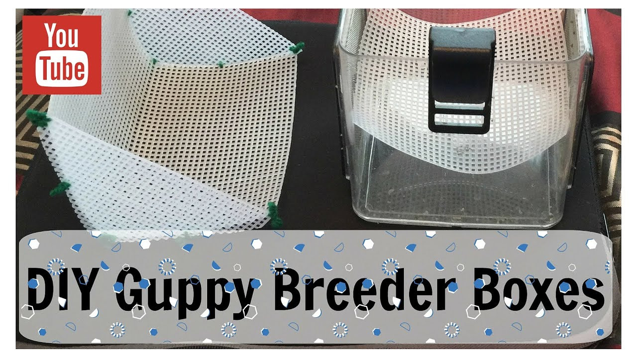 DIY Breeder Box
 DIY Guppy Breeder Boxes