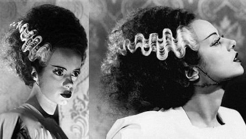 DIY Bride Of Frankenstein Hair
 DIY Halloween Hair DIY Halloween Hairstyles Halloween