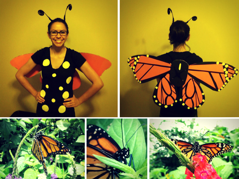 DIY Butterfly Costume For Adults
 Halloween Butterfly Monarch Costume Inspired by Monarch