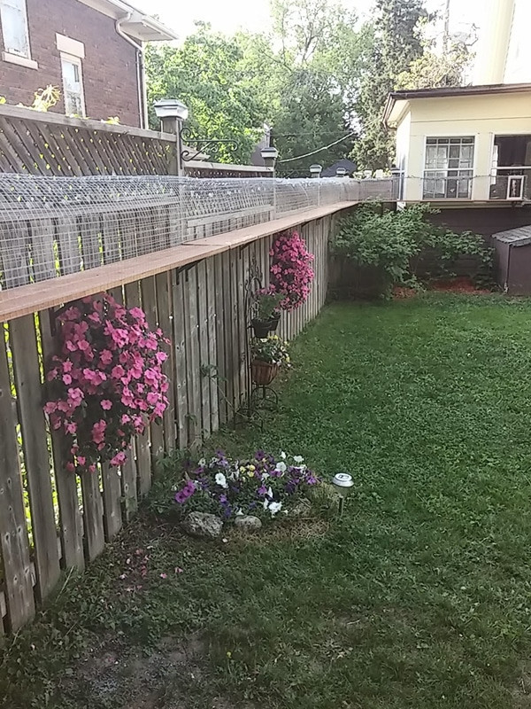 DIY Cat Outdoor Enclosure
 Another awesome outdoor cat enclosure