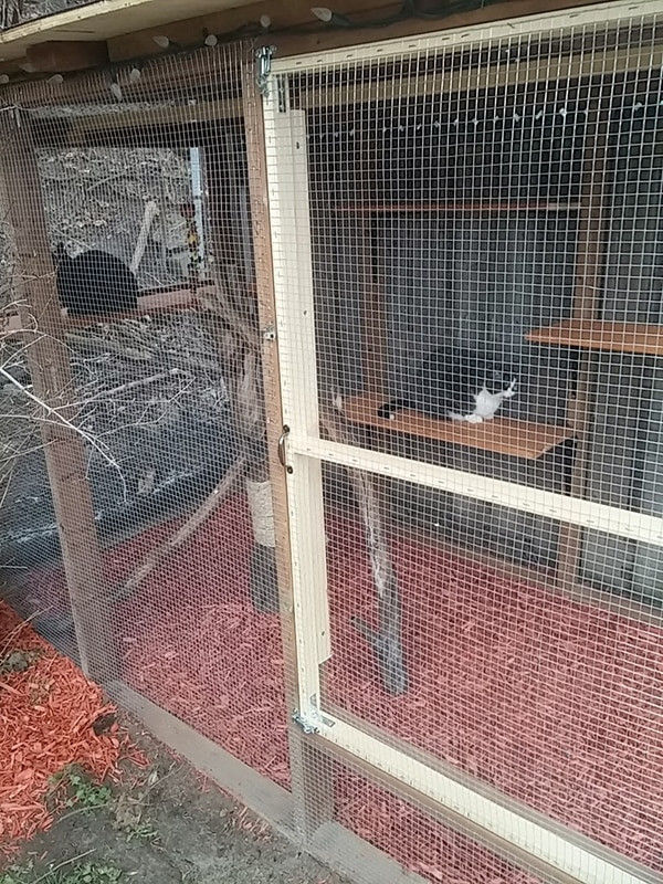 DIY Cat Outdoor Enclosure
 Another awesome outdoor cat enclosure