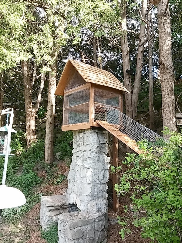 DIY Cat Outdoor Enclosure
 Another awesome outdoor cat enclosure