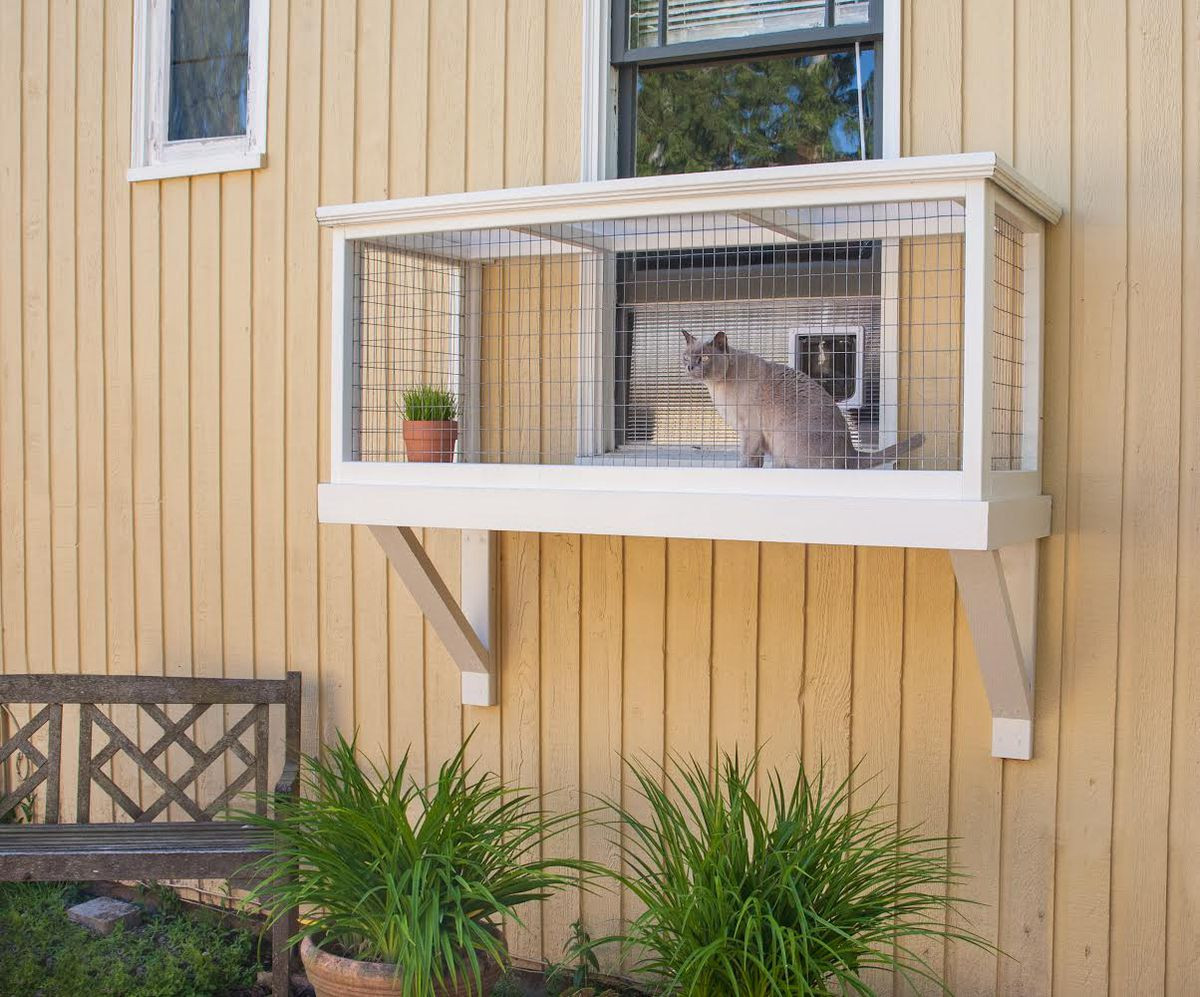 DIY Cat Outdoor Enclosure
 How a Seattle designer builds safe outdoor spaces for