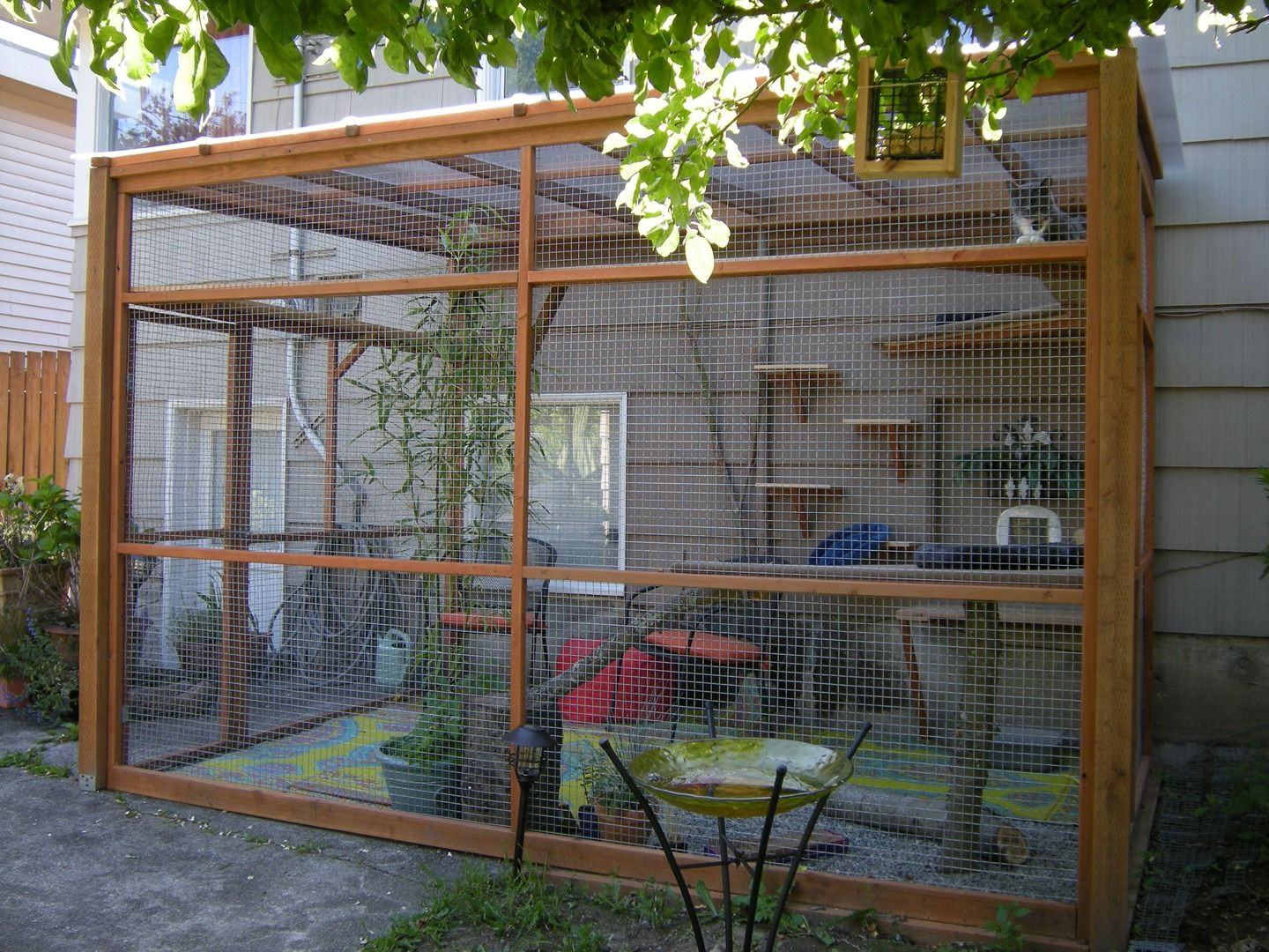 DIY Cat Outdoor Enclosure
 Homemade Outdoor Cat Enclosures Homemade Ftempo