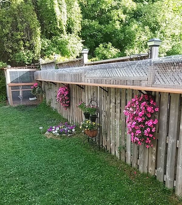 DIY Cat Outdoor Enclosure
 Another awesome outdoor cat enclosure