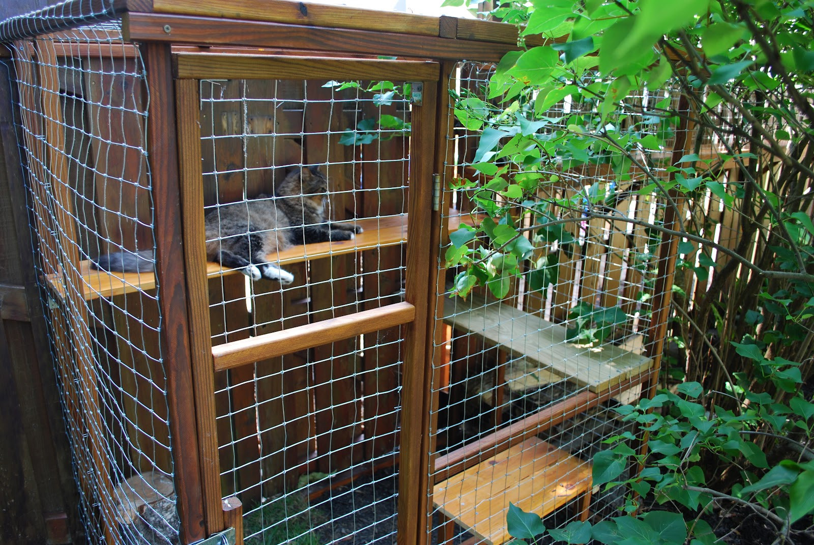 DIY Cat Outdoor Enclosure
 Easy DIY Cat Enclosure to keep your indoor cats happy and safe