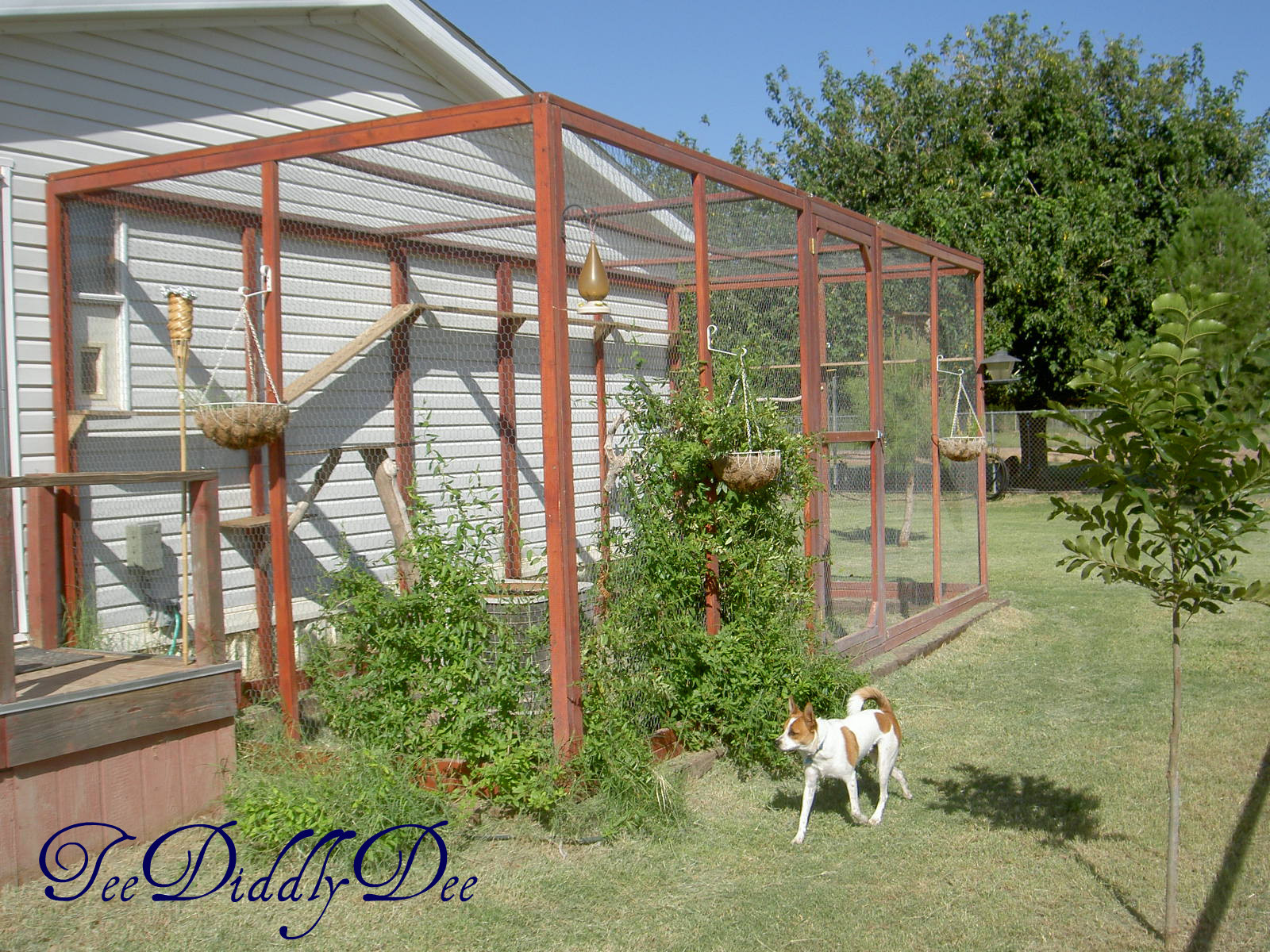 DIY Cat Outdoor Enclosure
 How To build an outdoor cat enclosure or catio