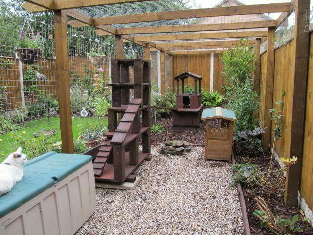 DIY Cat Outdoor Enclosure
 193 best images about DIY Cat Enclosures on Pinterest