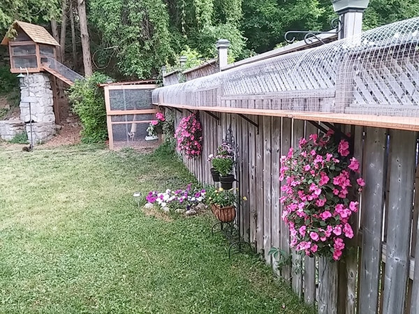 DIY Cat Outdoor Enclosure
 Another awesome outdoor cat enclosure