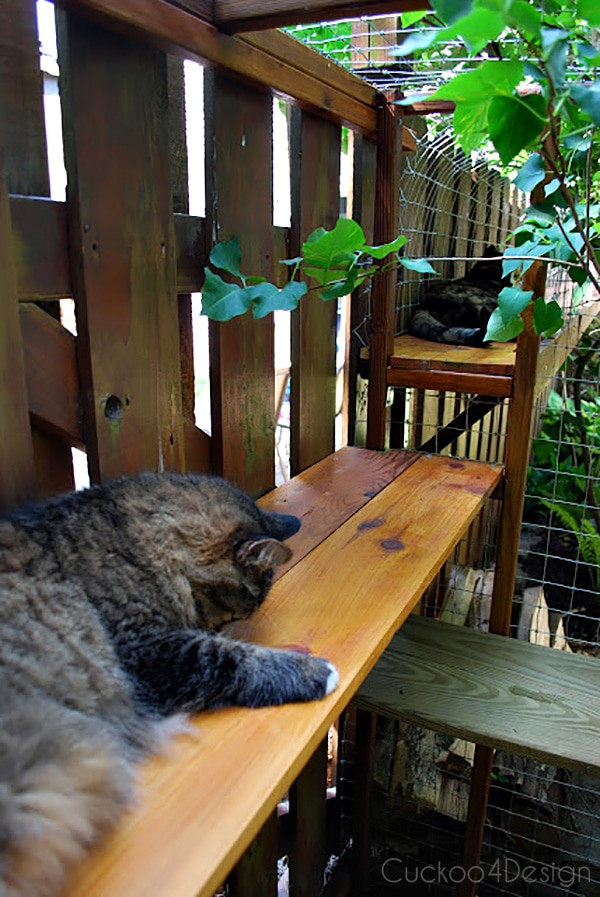 DIY Cat Outdoor Enclosure
 Easy DIY Cat Enclosure to keep your indoor cats happy and safe