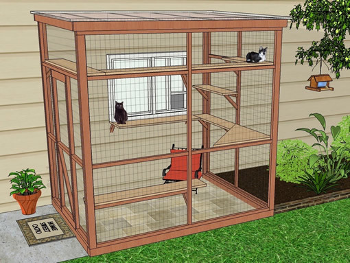 DIY Cat Outdoor Enclosures
 Outdoor Cat Enclosure Diy Cat and Dog Lovers
