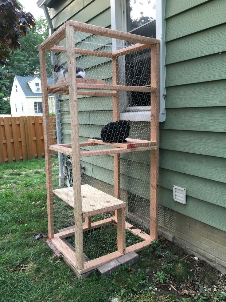 DIY Cat Outdoor Enclosures
 Catio Simple outdoor cat enclosure using a few 2x4 and