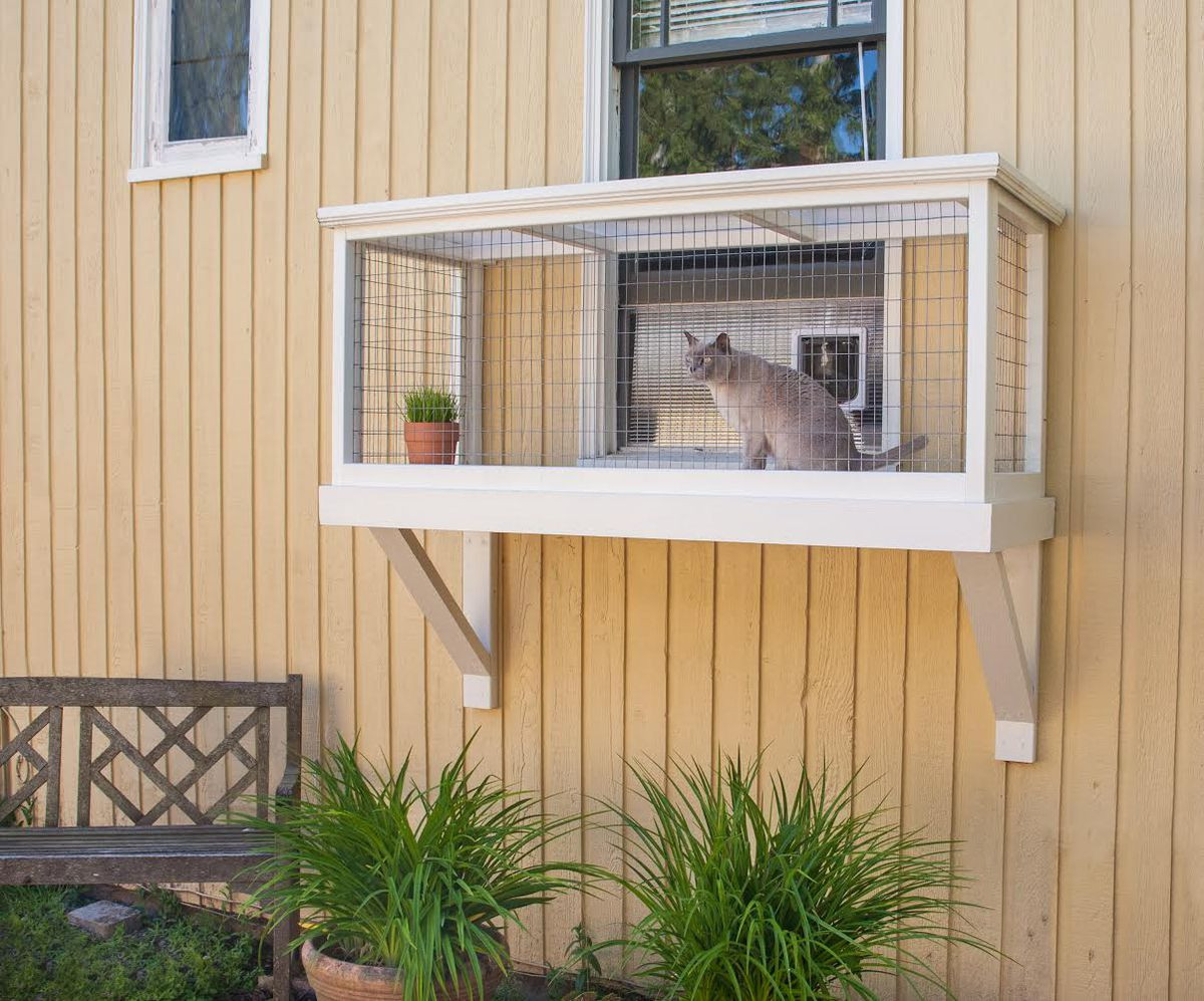 DIY Cat Outdoor Enclosures
 How a Seattle designer builds safe outdoor spaces for