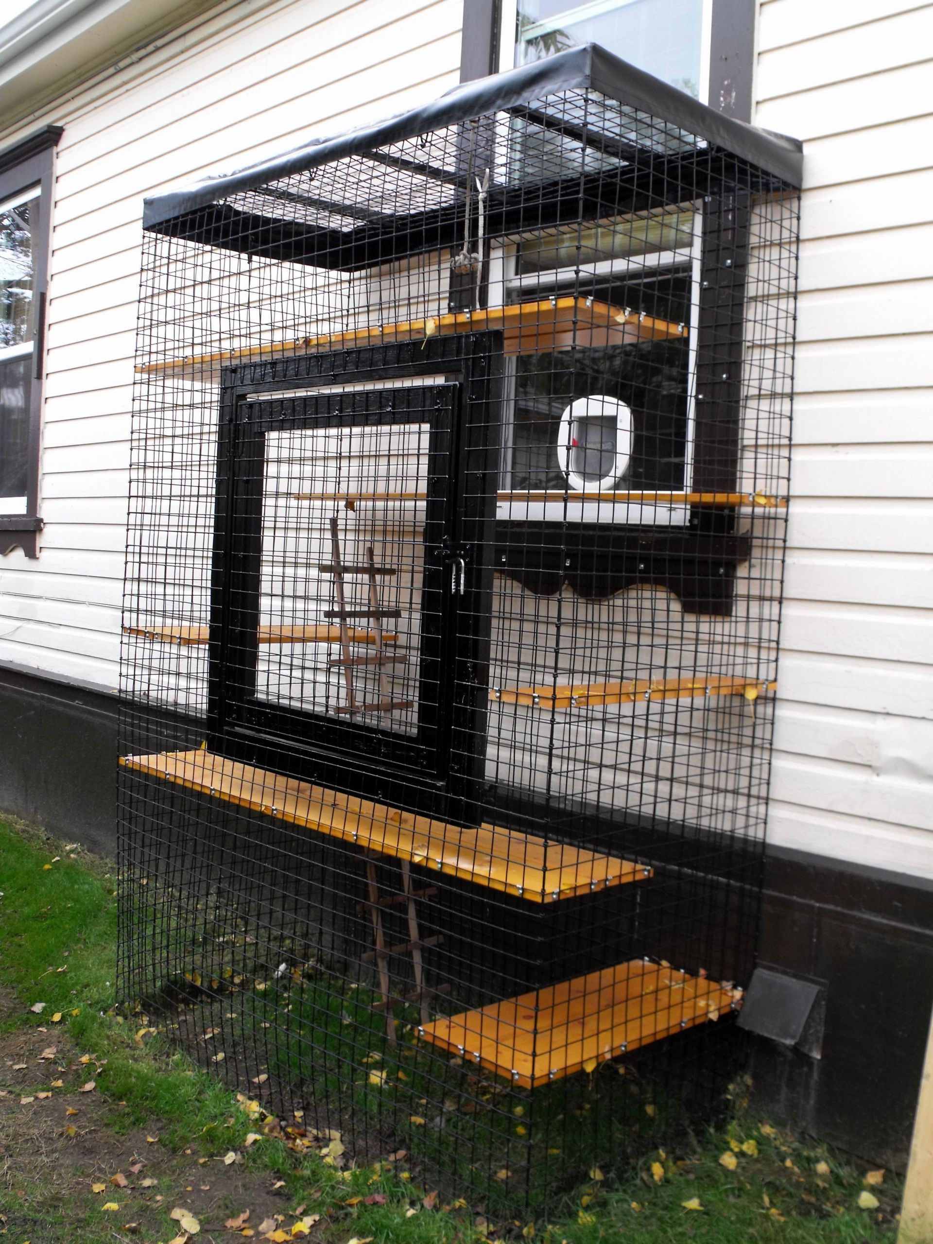 DIY Cat Outdoor Enclosures
 Outdoor cat enclosure with rain cover Beautiful World Liv