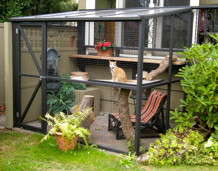 DIY Cat Outdoor Enclosures
 DIY Projects Build Your Own Cat Enclosure Melsteel