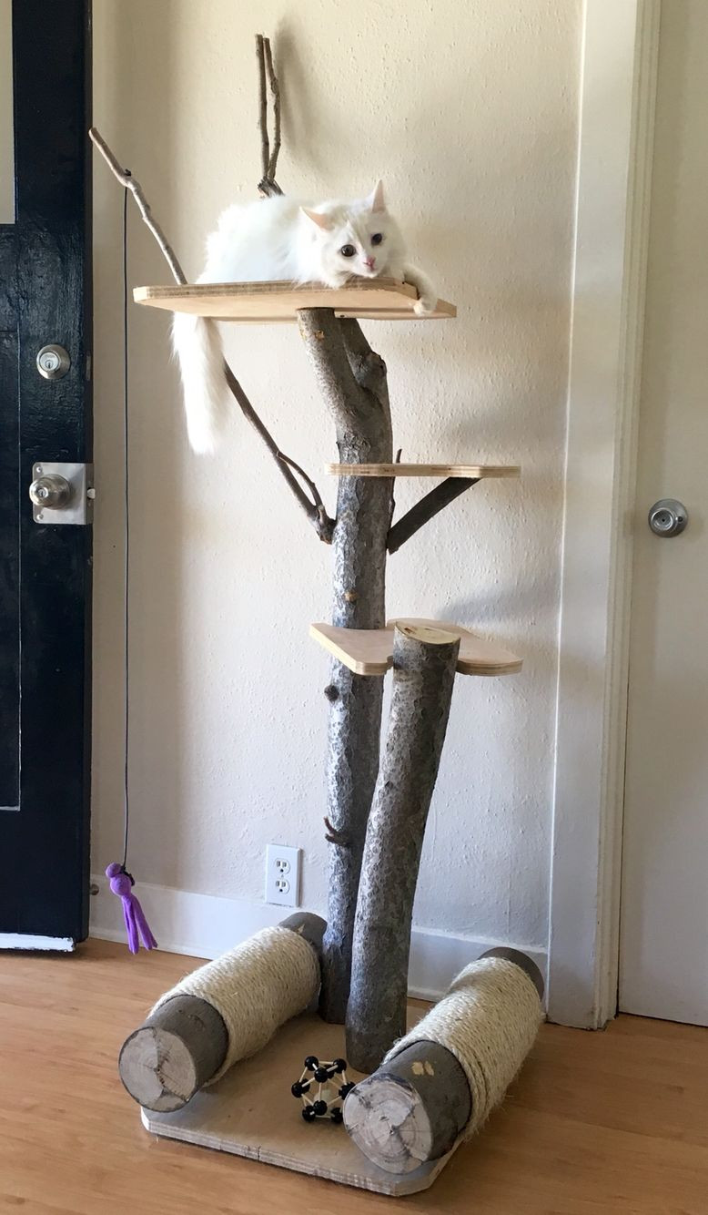 DIY Cat Tree Plans
 Free Cat Tree Plans