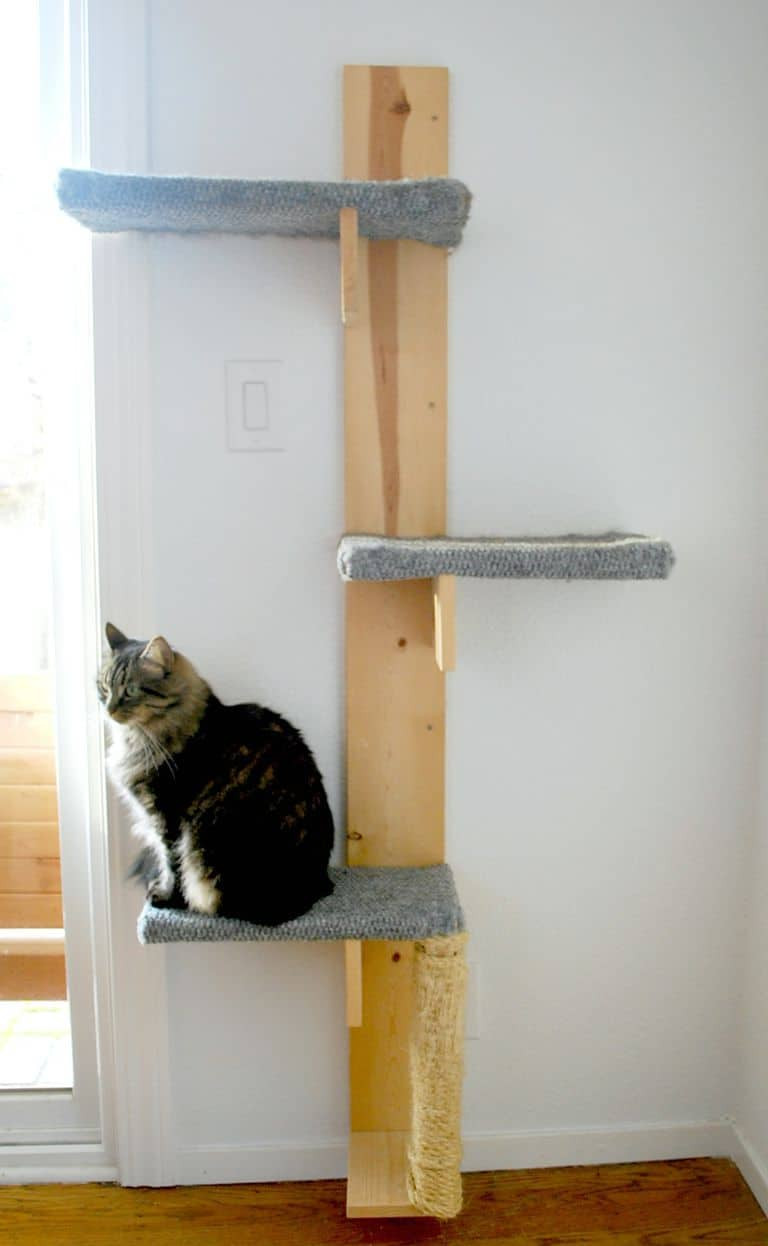 DIY Cat Tree Plans
 19 Adorable Free Cat Tree Plans For Your Furry Friend