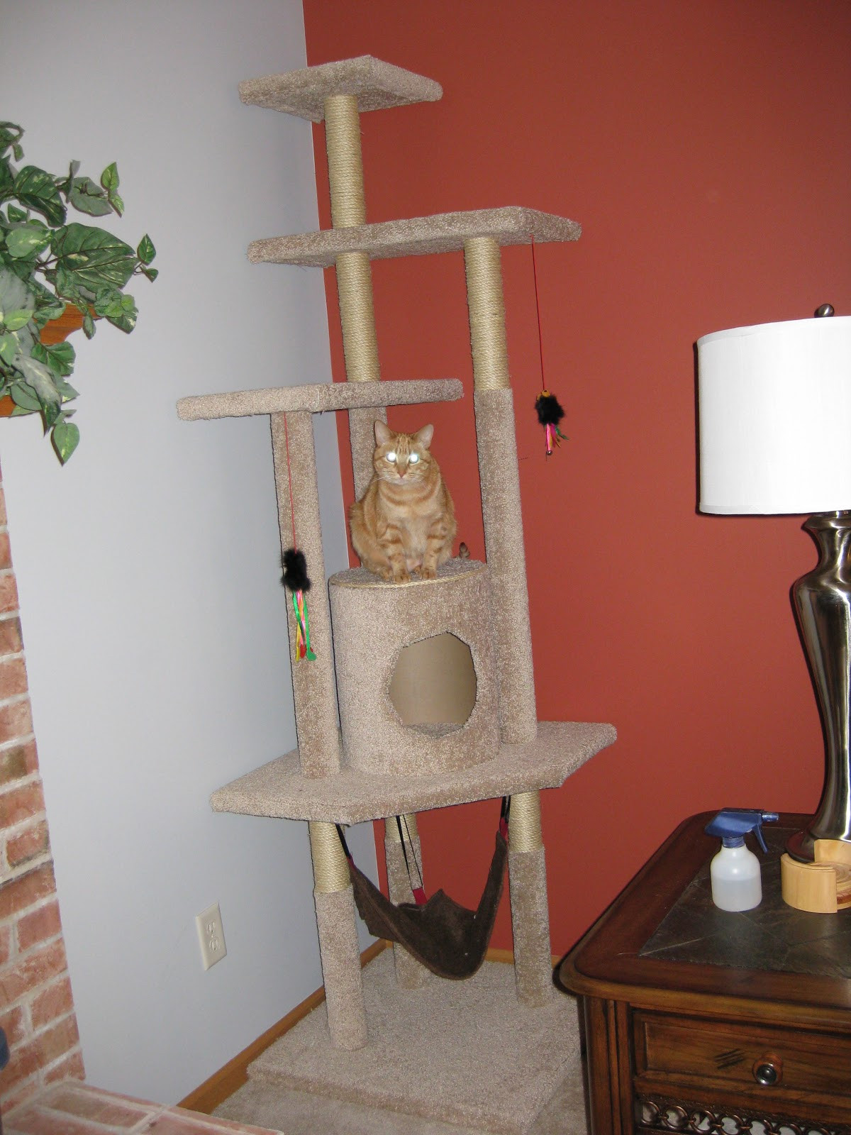 DIY Cat Tree Plans
 Pickle Perfect How to Build a Cat Tree