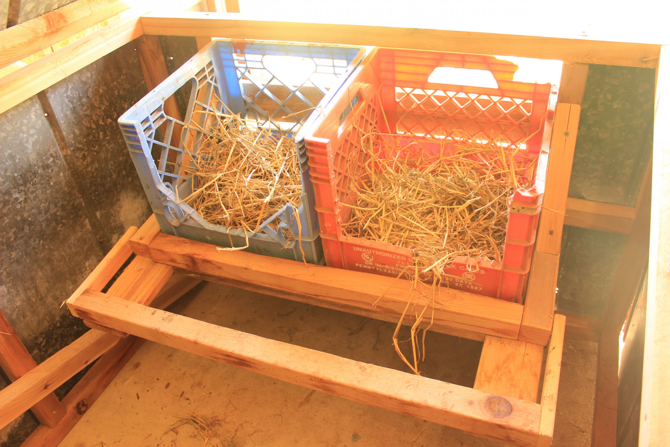 DIY Chicken Nesting Boxes
 DIY Chicken Tractor for Less Than $200 Abundant Permaculture